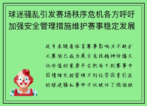 球迷骚乱引发赛场秩序危机各方呼吁加强安全管理措施维护赛事稳定发展